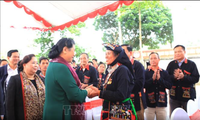 Tong Thi Phong à une fête de la grande union nationale à Hanoï 