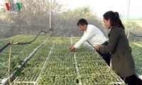  Quand même l’agriculture devient «intelligente» !...