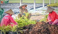 «Partenariat public-privé pour le développement durable de l’agriculture»