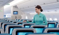 Vietnam Airlines lance l’enregistrement des services spéciaux en ligne