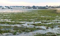 Climat et biodiversité : la France est dans le rouge selon un rapport officiel