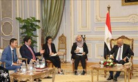 Pham Minh Chinh en déplacement en Egypte