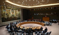 Réunion virtuelle entre le Vietnam et les 10 pays membres non-permanents du Conseil de sécurité de l’ONU