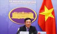 Pham Binh Minh assiste à la conférence virtuelle des ministres des Affaires étrangères du G20