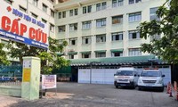 Covid-19: les Vietnamiens d’Italie collectent des fonds pour l’hôpital de Danang