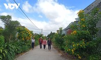 Les villages du Tây Nguyên font peau neuve