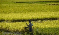 Climat : reprise de négociations “cruciales” à l'ONU, six mois avant la COP26 de Glasgow