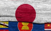 16e réunion du Comité mixte de coopération ASEAN-Japon