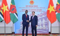 Vietnam – République Dominicaine: entretien entre Bui Thanh Son et Vince Henderson