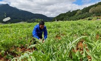 Lâm Đồng veille au bien-être de ses minorités ethniques