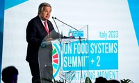 L'ONU appelle à une transformation de notre façon de produire et de consommer la nourriture