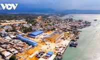 Se renforcer et s'enrichir grâce à la mer : Un voyage artistique inspirant à Nha Trang