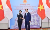 Bùi Thanh Son co-préside la cinquième réunion du comité de coopération Vietnam-Indonésie