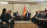 Pham Minh Chinh rencontre les responsables de grands groupes indiens