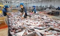 Le Vietnam sur le point d’atteindre 10 milliards de dollars d’exportations de produits aquatiques