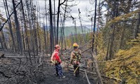 Canicules et incendies de forêt en hausse dans plusieurs régions du monde