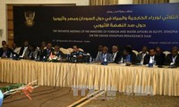 Egypt, Sudan concerned over modifications to Ethiopia's Dam