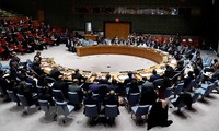 Germany to push for reform of UN Security Council