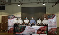 Vietnamese lychees head for EU markets