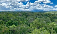 Deux nouvelles réserves de biosphère vietnamiennes reconnues par l’Unesco