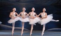 Ballet classes for adult     