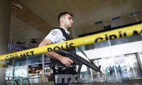 Death toll in Istanbul airport attack increases to 43