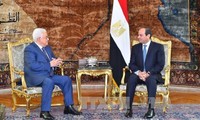 Egypt, Palestine seek to restore Middle East peace process