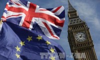 Brexit transition to conclude end of 2020