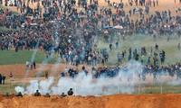 Dozens die along Palestine-Israel border