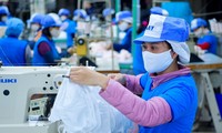 France to import millions of made-in-Vietnam masks