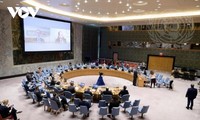 Vietnam urges respect for and full implementation of Chemical Weapons Convention