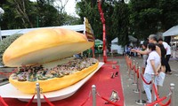 Second Vietnam banh mi festival offers new experience for foodies