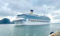 Cruise ship brings nearly 3,000 foreign guests to Ha Long