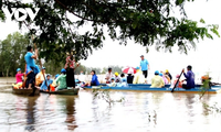 Tourists flock to Mekong Delta during flood season