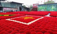 Hanoi's 100-year-old incense village hectic prior to Tet