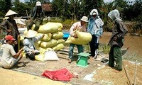 ຮອງນາຍົກໆ Vu Van Ninh ກວດກາວຽກງານກະກຽມຈັດງານຕະຫຼາດນັດເຂດທົ່ງພຽງແມ່ນ້ຳຂອງ.