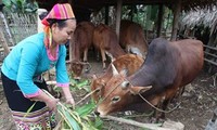 ລົບລ້າງຄວາມອຶດຫິວຫຼຸດຜ່ອນຄວາມທຸກຍາກ, ຜົນງານພື້ນຖານຂອງສິດທິມະນຸດຫວຽດນາມ