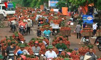 ຕອບບາງຄຳຖາມເຊິ່ງທ່ານຜູ້ຟັງຝາກມາໃນອາທິດຜ່ານມາ