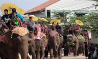 ລາວ ຈະຈັດຕັ້ງ Caravan ຊ້າງດ້ວຍຂອບຂະໜາດໃຫຍ່ໃນປີ 2015