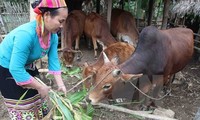 ຄົ້ນຄວ້າການສ້າງມາດຖານທຸກຍາກໃໝ່ຕາມທິດຫຼາຍຮູບການ