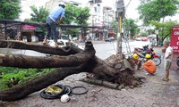 ຫວຽດນາມແກ້ໄຂຜົນຮ້າຍຢ້ອນຫຼັງຈາກພາຍຸDianmu