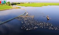 Die romantische Landschaft der Tam Giang Lagune