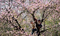 Schöne Momente in der Berggegend Tay Bac