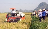 Restrukturierung der Landwirtschaftsproduktion