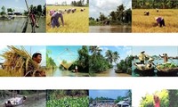 Zusammenarbeit der Provinzen durch Wirtschaftsforum für Mekong-Delta