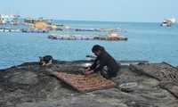 Das Leben auf der Insel Hon Chuoi in Ca Mau