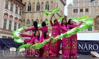 Fest der Minderheiten in Prag: Die vietnamesische Delegation beeindruckt