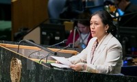 Vietnam will zur Verstärkung der Rolle von ECOSOC beitragen