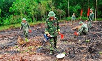 Bildung des Verbands zur Beseitigung der Folgen von Blindgängern in Da Nang