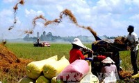 Wähler bewerten die Maßnahmen zur nachhaltigen landwirtschaftlichen Entwicklung positiv